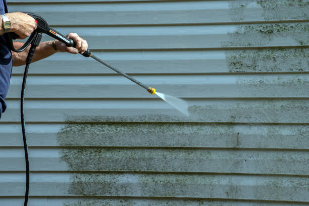 Best Pressure Washing Company Near Me  in East Jordan, MI