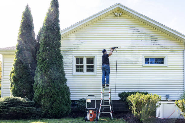 Best Exterior Home Cleaning  in East Jordan, MI